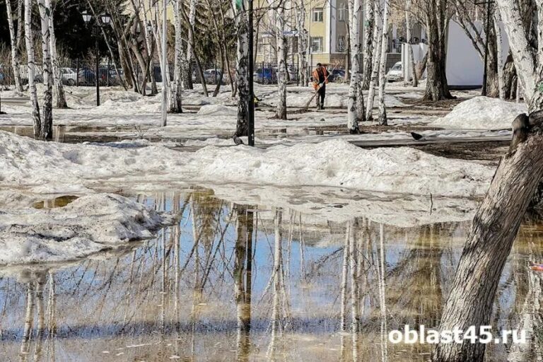 Народные приметы и научный прогноз указывают на раннюю весну в Зауралье