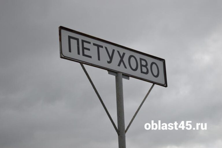 В Курганской области благоустроят «Купеческий тракт»