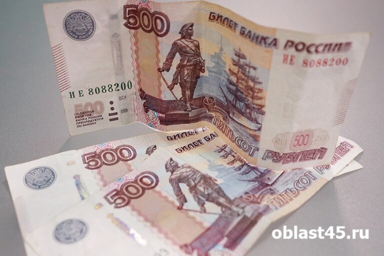 Зауральцы массово подают заявки на семейную выплату