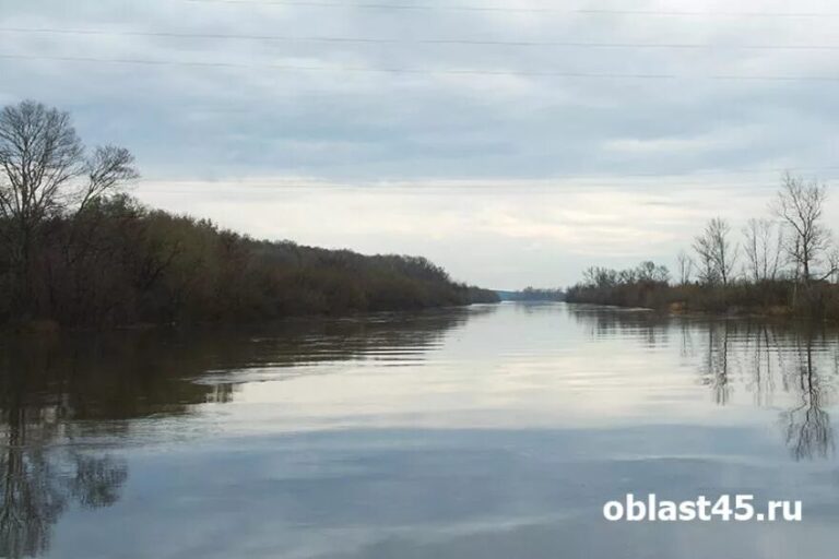 Водоемы Курганской области закроют для рыбалки