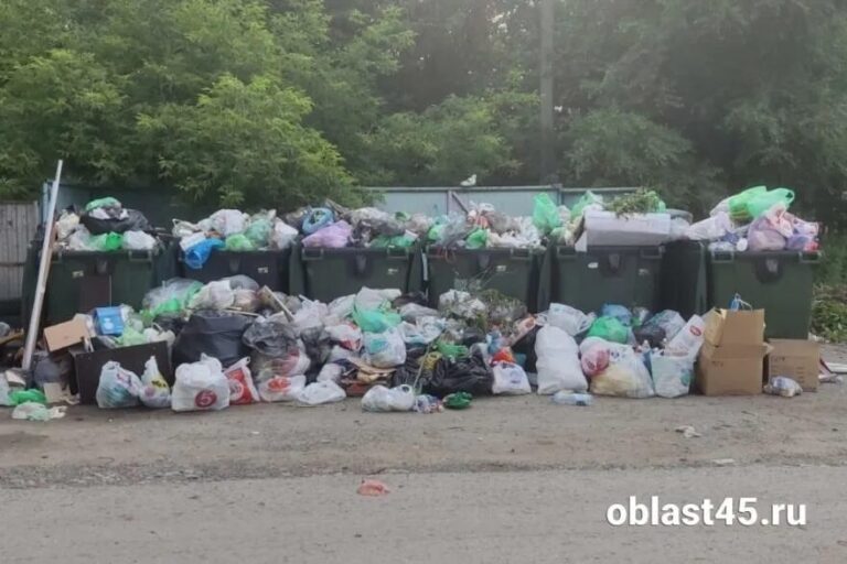 Курганцев призывают избавиться от старых шин правильно и бесплатно