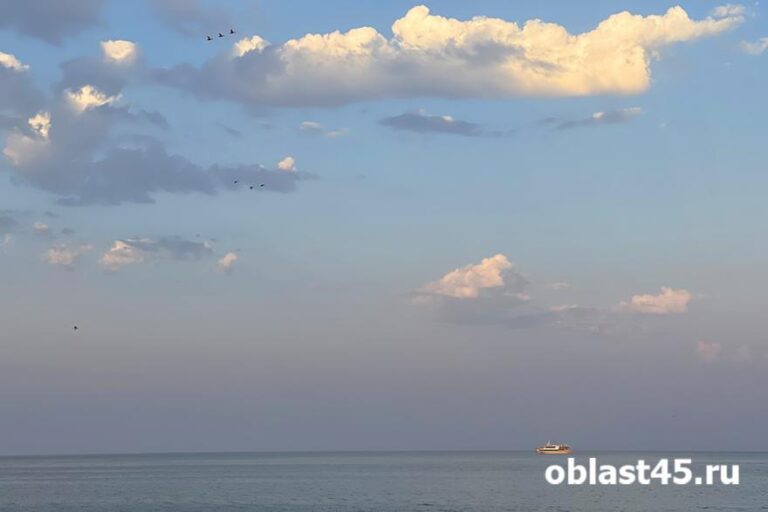 Отдыхающие на Чёрном и Азовском морях жалуются на обилие медуз