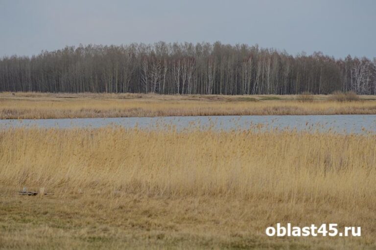 317 озёр для рыбалки: в Курганской области утверждён перечень рыболовных участков